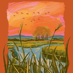 Tuesday 8th September, 6:30pm: Kate Mosse in conversation with Tim