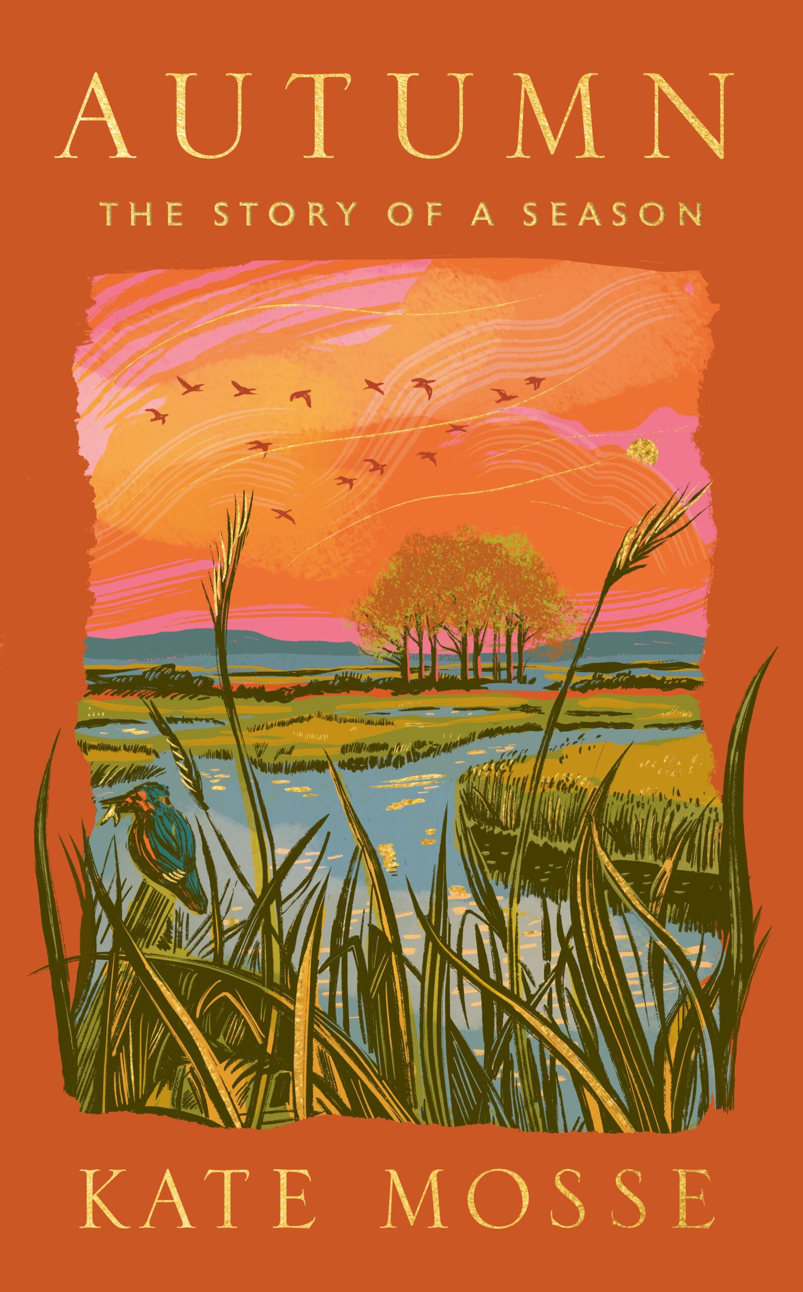 Tuesday 8th September, 6:30pm: Kate Mosse in conversation with Tim